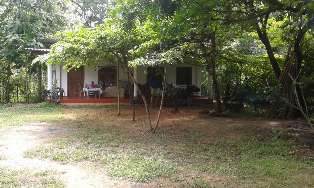 Apartamento Family Nest Dambulla Exterior foto